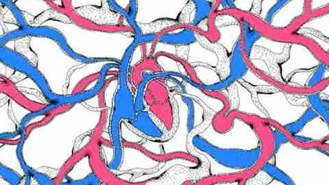 Attack 0708 - Music by Auftrag and animated by Kee