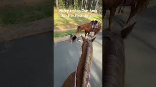 She Asked For A Zyni Only Had 6Mg With Me.