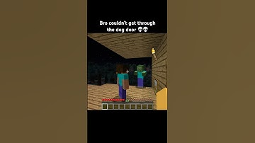 Dog door #minecraft #minecraftshorts #minecraftmemes #shorts #funny #memes #gaming #meme #fyp
