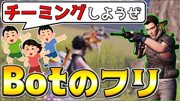 金花荒野行動botのふり Mp3