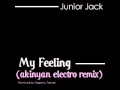 My Feeling (akinyan electro remix)