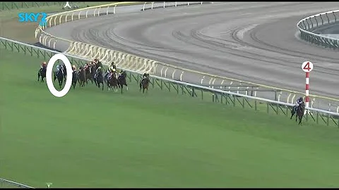 Crazy Horse Race Finish - Equinox Tenno Sho G1 - DayDayNews