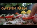 Quickest Eggplant Parm - Brooklyn Rooftop Garden Recipes