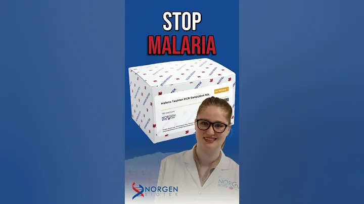 How Researchers Are Fighting Mosquito-Borne Diseases 🦟