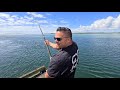 Wharf Fishing Madness!! Kingfish, Trevally & Massive Sharks!!