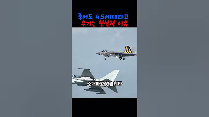곧 죽어도 KF-21을 4.5세대라고 말하는 이유  #군사  #밀리터리