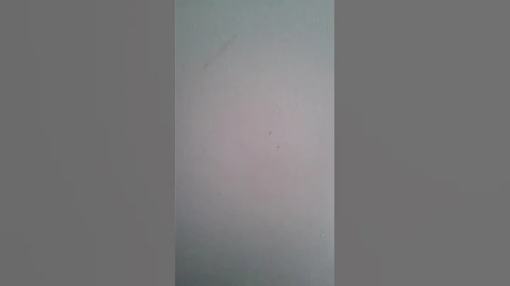 February 8, 2017