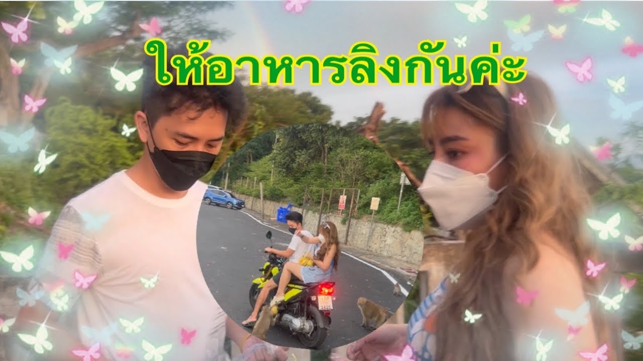 ให้อาหารลิงยังไงให้หวาน🤣😂พ่อกับแม่ขอสวีทหน่อย👶🏻ดูดีๆนะเหมือนพี่โฟล์คเลย🐒