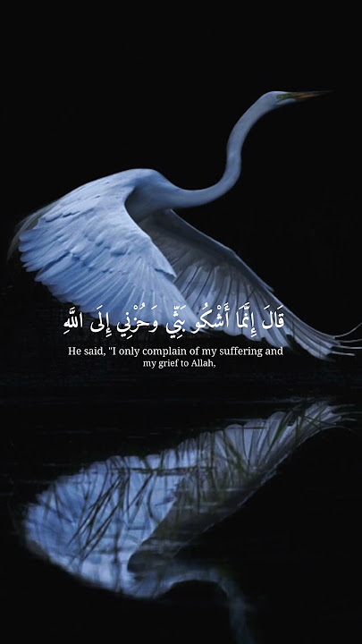 Best Soothing Quran Recitation  Holy Quran Audio | قرآن  تلاوتlv 7450535641399446845 20250831213824