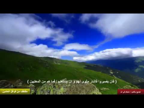 خالد الراشد مؤثر جدا يوم تشهد عليهم السنتهم وايديهم وارجلهم