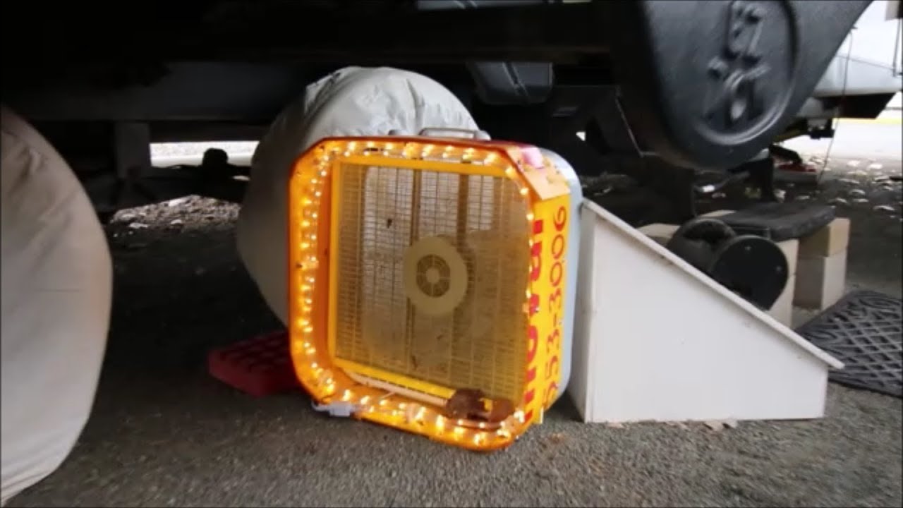 Homemade Bug Catcher YouTube homemade-bug-catcher-youtube