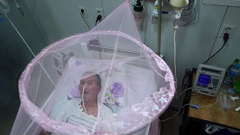 Santé : l'IA dans la recherche contre les maladies endémiques