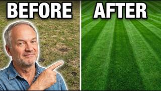 How to INSTANTLY FIX an UGLY Lawn - The Lazy & Easy Way