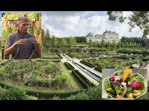 Vidéo: Les Secrets D'un Jardinage Réussi