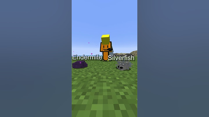 How The Elytra Was Made In Minecraft.....
