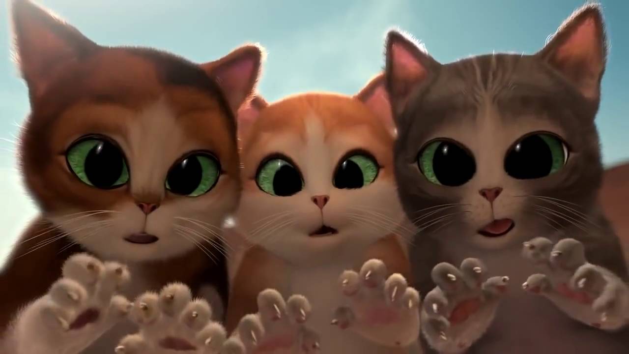 Film Kartun  Lucu Kucing Dan Ikan Gambar Gokil