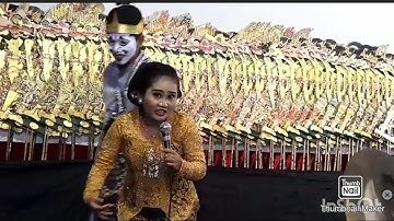 Mbak Eka Uget - Uget lagi ngrajang kobis.