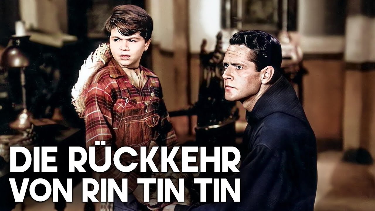 Die Rückkehr von Rin Tin Tin - Familienfilm