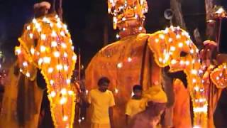 Lágrimas de elefante (Elephant tears) that never seen before at Perahera  festival in Sri Lanka