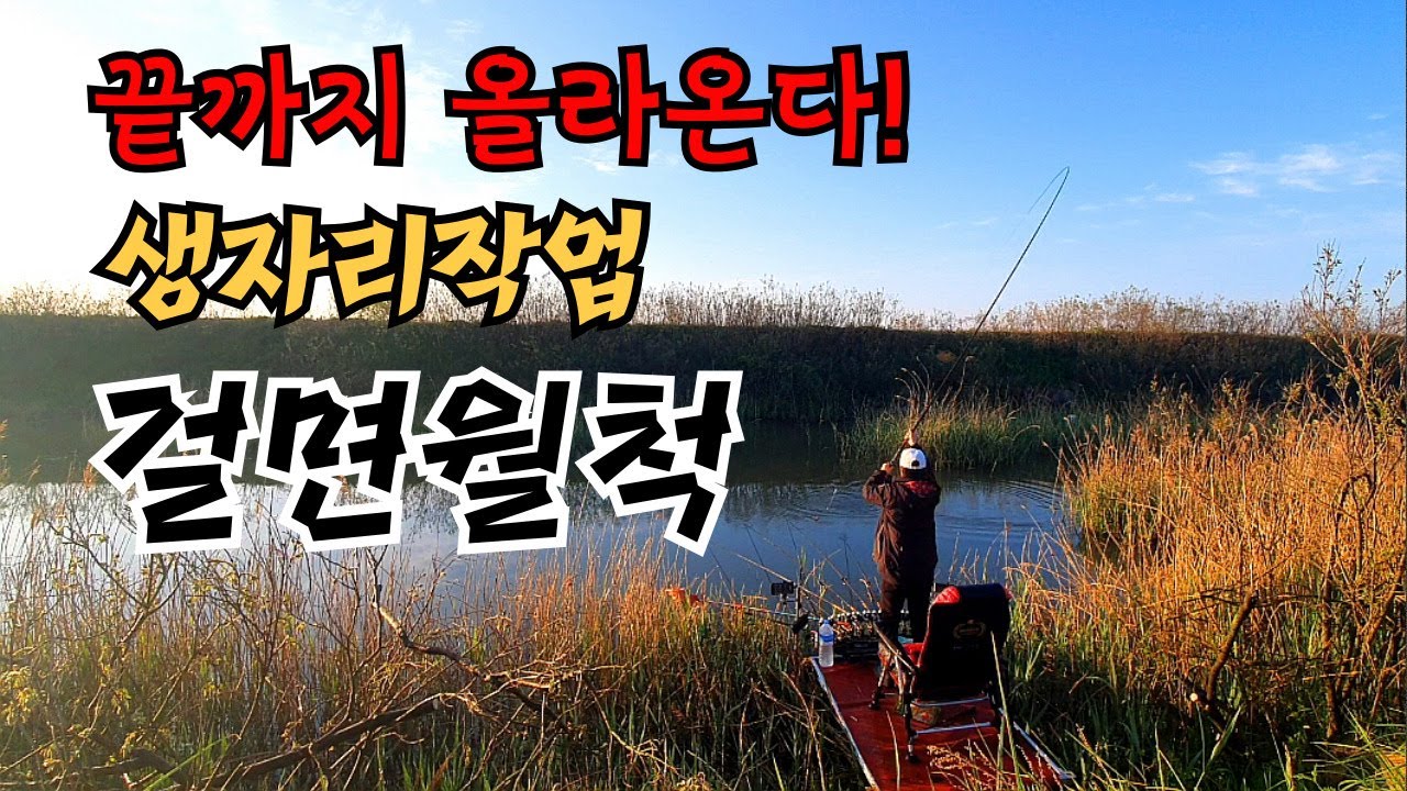 간월호 2번수로  최상류권까지 올라왔다  걸면 월척!