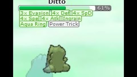 Ditto Sweep