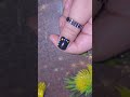 Easy nail art #naildesign #youtubeshorts #shorts🌈🖤