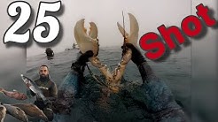 Compilation chasse sous marine pescasub صيد غوص حر by Robalos Spearfishing