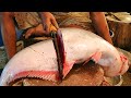 Nice Cutting Style | Big Pangas Fish Cutting By Expert Fish Cutter | Bangladesh Fish Market