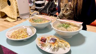 ラーメンの出前が来た時の子猫の反応がこちらですw