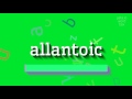 How to say "allantoic"! (High Quality Voices)