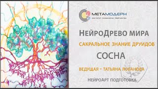 Что значит Символ Сосны в жизни людей?  НейроДрево Мира. Сакральное знание друидов. Древо Cосна. 16+