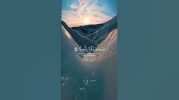 من سورة الأحزاب | بدر التركي #بدر_التركي #اكسبلور #قرآن #ترند #لايك #explore #quran #viral #islam