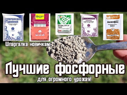 Эти фосфорные удобрения сделают ваш урожай мега огромным! Все виды фосфорных удобрений для огорода!