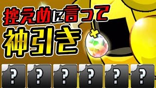 シーズンスーパーゴッドフェス5回引いて出たキャラで闘技場に挑む！【パズドラ】