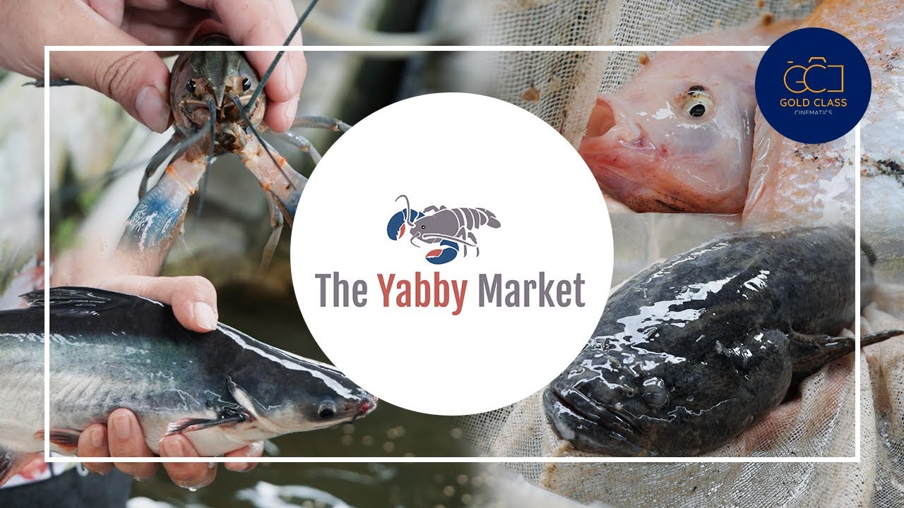 Incredible Lim Chu Kang Fish Farm in Singapore The Yabby Market GCC Singapore Biz Class