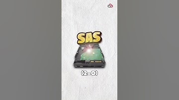 Sas Vs Sata