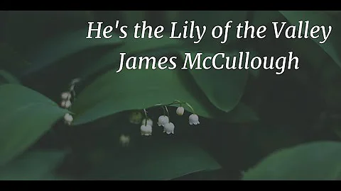He's the Lily of the Valley - James McCullough - s...