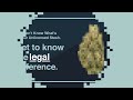 Get to know the legal difference.