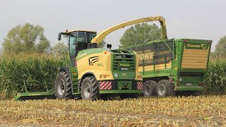 Krone Big X 780 With Lift Cab Chopping Maize Silage In Italy  Nice V8 Engine Sound