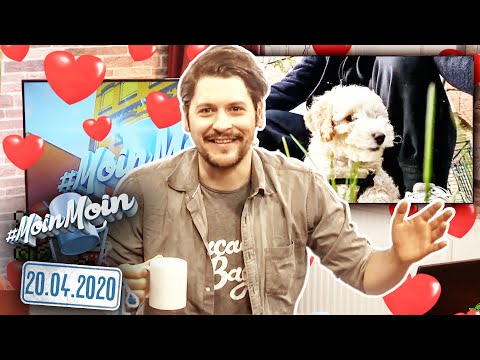 Familienzuwachs im Hause Kräts