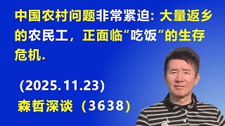 中国农村问题非常紧迫：大量返乡的农民工，正面临“吃饭”的生存危机.（2025.11.23) 《森哲深谈》