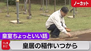 皇居の四季 稲作始め「お手まき」皇室ちょっといい話(29)冬の野鳥消え新緑萌ゆ（2021年4月7日）