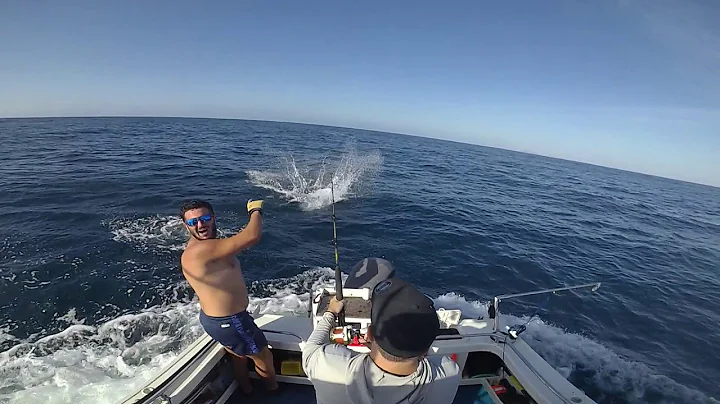 Port Stephens Inshore Black Marlin!