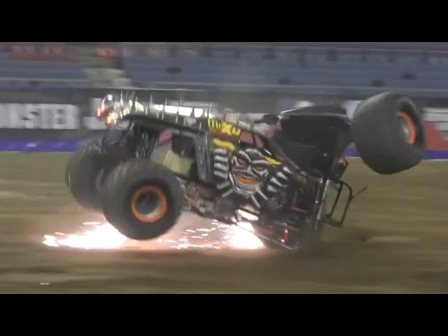 Max-D Monster Jam Truck