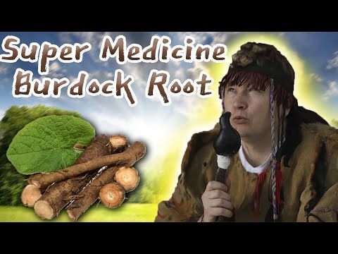 Burdock Root Treats: Inflammation, Tumors, Liver, Pancreas, Kidneys, Metabolism