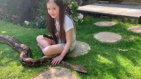 Outside Reticulated Python adventures (Sonny)