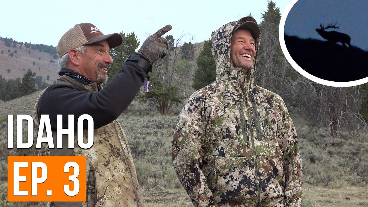Calling Elk FROM CAMP! Idaho Archery Elk (EP. 3) YouTube