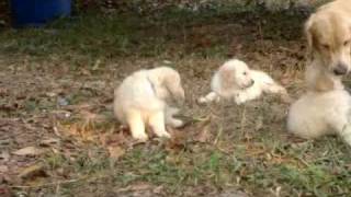 0042.wmv