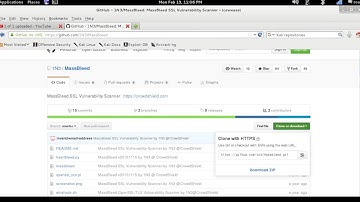 MassBleed SSL Vulnerability Scanner