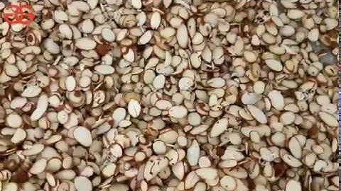 Raw Almonds Slice Cutter Machine - How does an almond slicer work